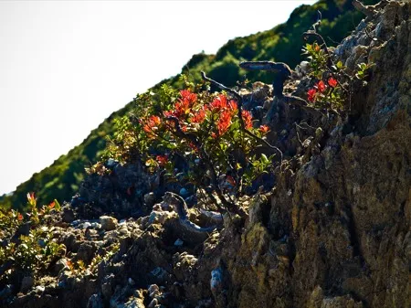 Travel Photo